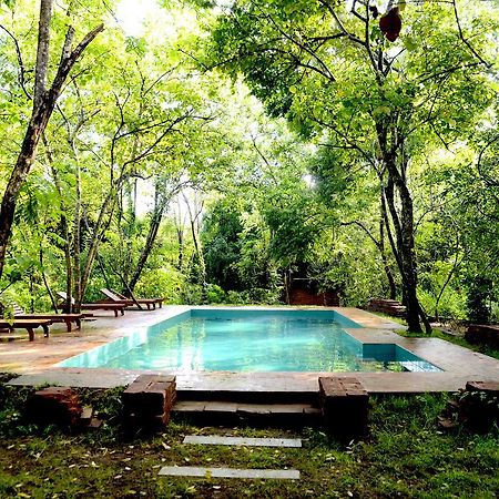 Hotel Mahagedara Wellness Retreat Avudangawa Exterior foto